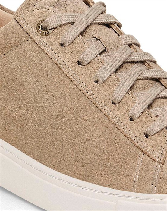 Bend Low Suede Leather Sneakers - Taupe